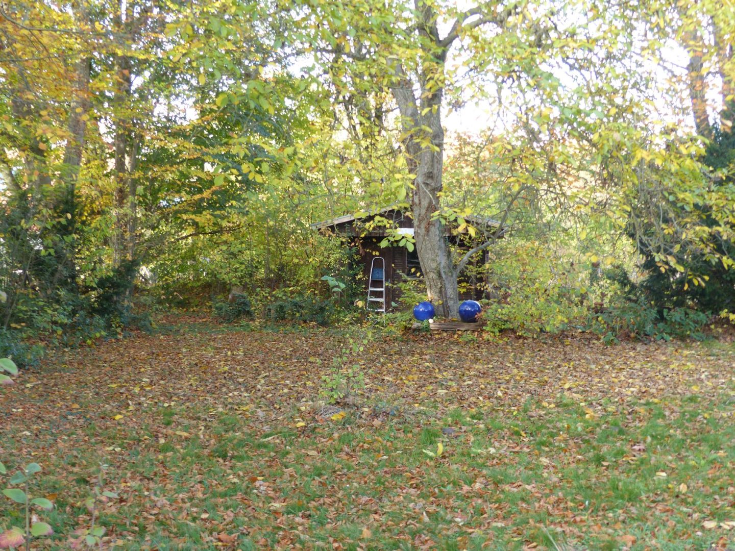 Garten mit Gartenhaus 1