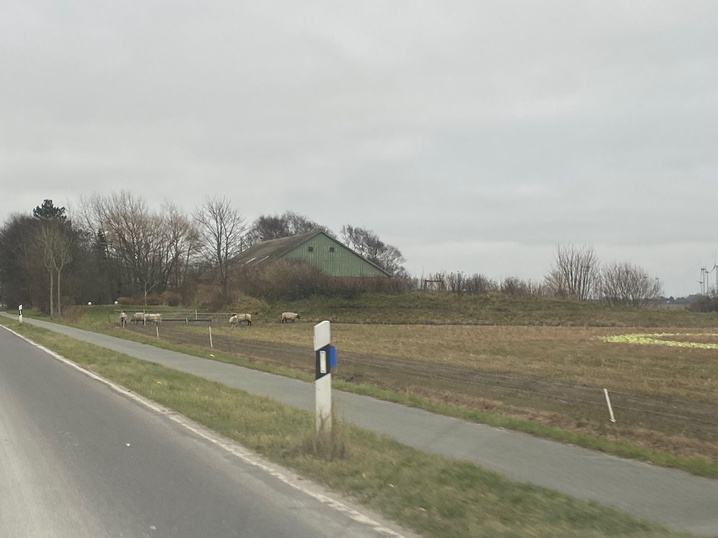 Umgebung