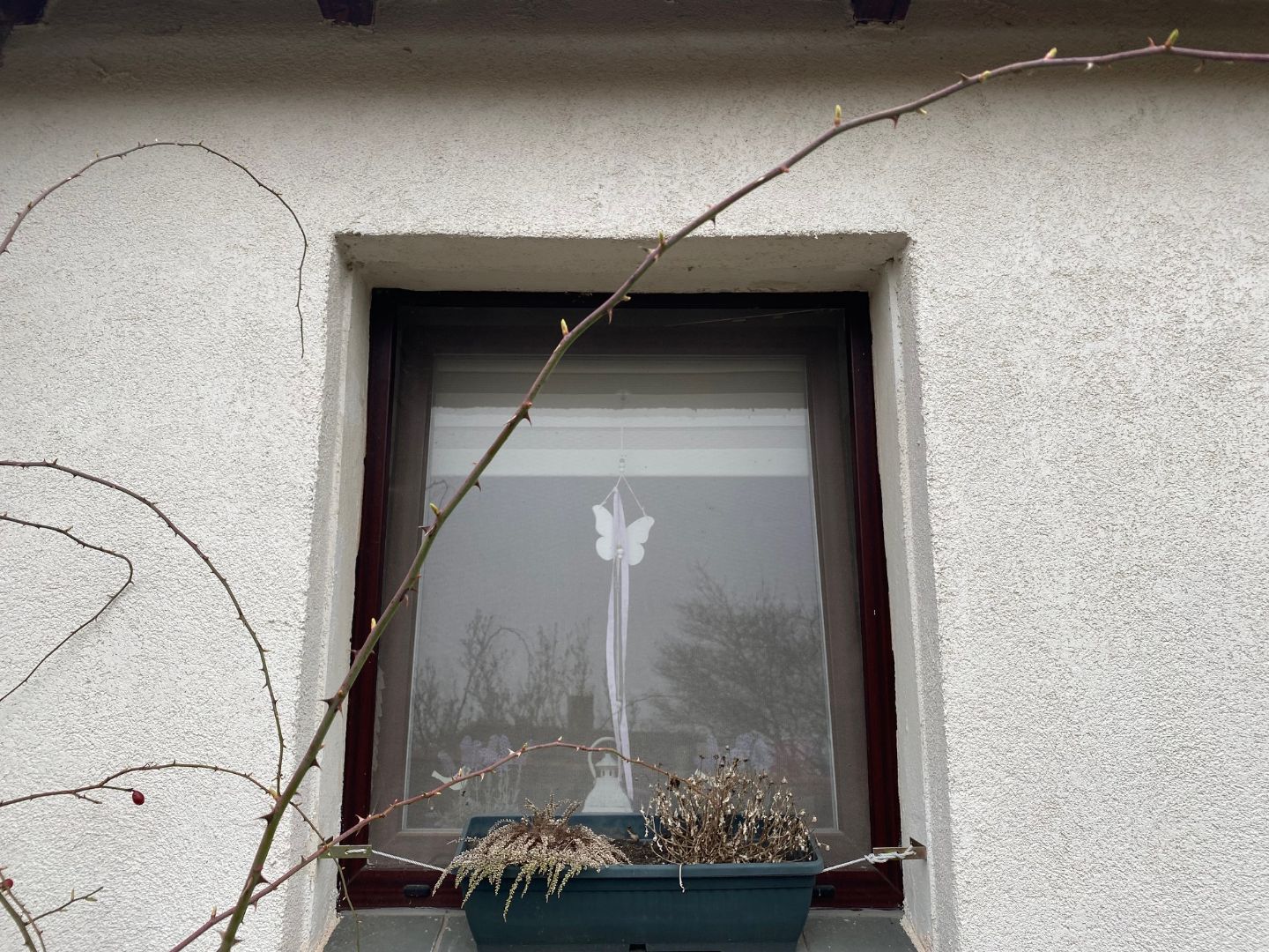 offenes Fenster