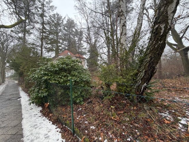 Flurstück 3910-49 
